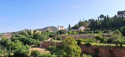 View of a beautiful white palace on the side of a hill under a blue sky. It's surrounded by greenery.